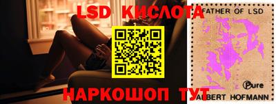 шишки Обнинск