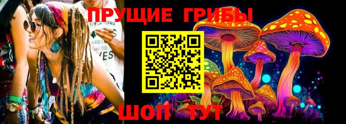 Галлюциногенные грибы Psilocybine cubensis Топки